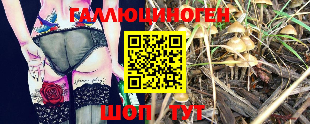 Галлюциногенные грибы Cubensis  Вход с VPN  Галлюциногенные грибы Psilocybe  Бутурлиновка 