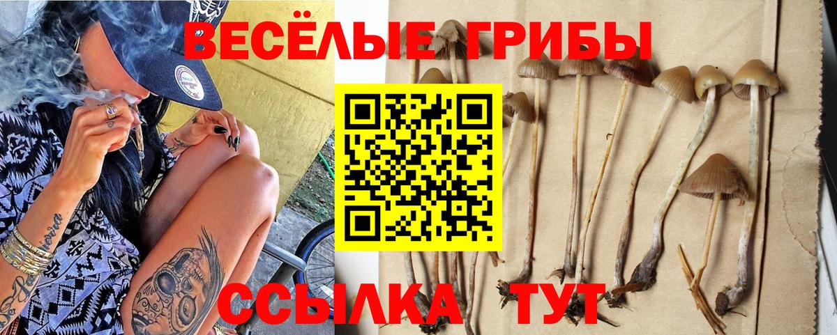 Галлюциногенные грибы MAGIC MUSHROOMS Бутурлиновка